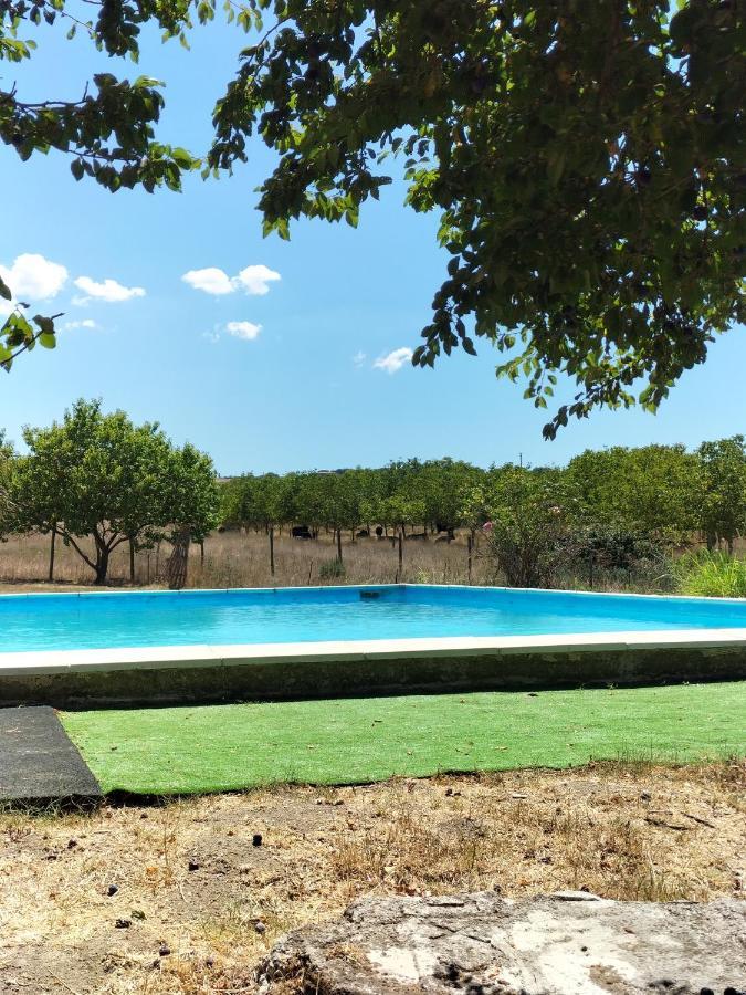 Villa Rod Ranch Livestock - Stanza Doppia Con Letti Singoli à Campagnano Di Roma Extérieur photo